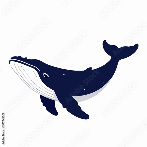 Celestial Humpback Whale Flat Vector Illustration Featuring Night Sky Constellations and Moon, Minimalist Marine Life Art with Navy and White Tones, Spiritual Ocean Animal Concept, Isolated.