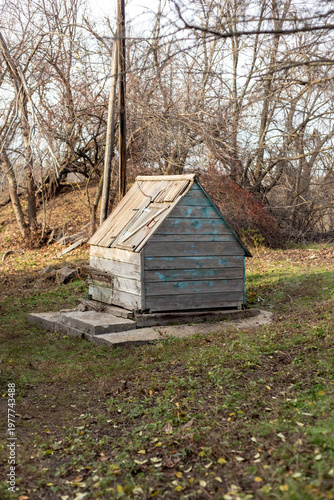 An old well in the forest