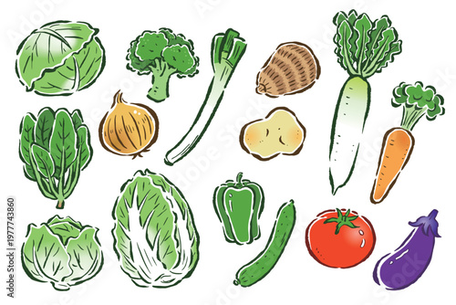 定番の野菜　指定野菜15品目セット