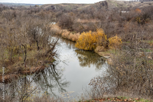 A quiet river among bare branches