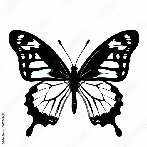 Intricate flat vector illustration of a single ornate emperor butterfly with symmetrical black and white wings, minimalist graphic style isolated on white background for nature and soul concepts