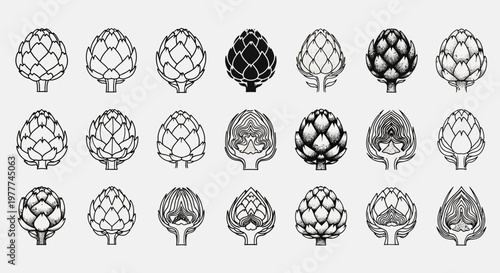 Artichoke Collection: Hand-Drawn Illustrations of Whole and Halved Artichokes