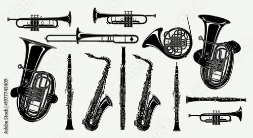 Collection of Brass and Woodwind Musical Instruments, Vintage Style