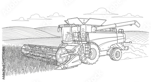 Combine harvester working in a wheat field during harvest season, agricultural machinery