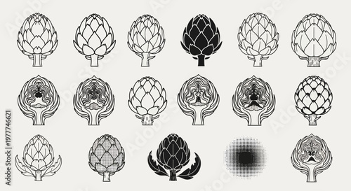 Artichoke Illustrations: Collection of Hand-Drawn and Silhouette Vector Graphics