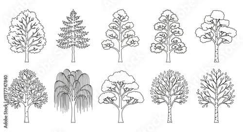 Set of Hand-Drawn Tree Silhouettes: Diverse Styles for Nature and Design Projects
