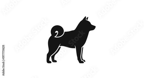 Silhouette of a Shiba Inu dog with curled tail on white background