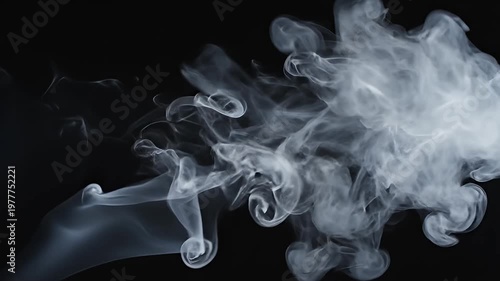 Wallpaper Mural White smoke billows upwards against a dark black background Torontodigital.ca