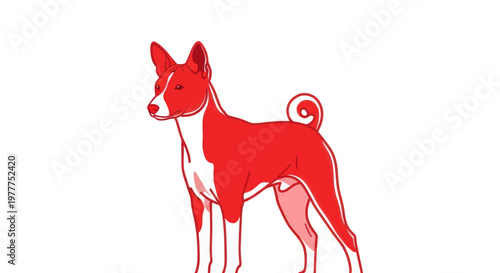 Red Basenji Dog Standing Isolated on White Background, Simple Illustration