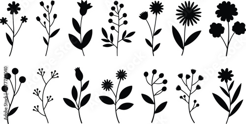 Clean line art collection of sixteen botanical flowers and plants including stems berries and abstract floral silhouettes