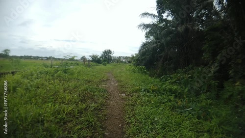A small footpath located near rice fields in a rural agricultural area. The scene shows a simple pathway used by farmers and villagers in the countryside.