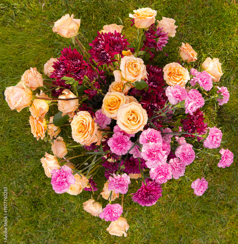 Close up of light pink Roses