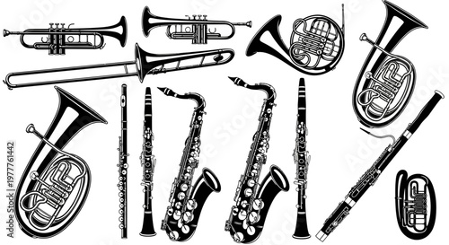 Collection of Black and White Brass and Woodwind Musical Instruments