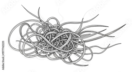 Abstract tangled organic lines forming a complex knot, black and white illustration