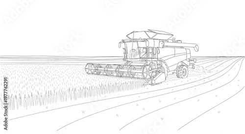 Combine harvester working in a wheat field, agricultural machinery, harvesting season, line art
