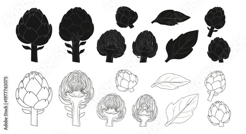 Artichoke Collection: Whole, Halved, and Leaves - Black and White Illustrations