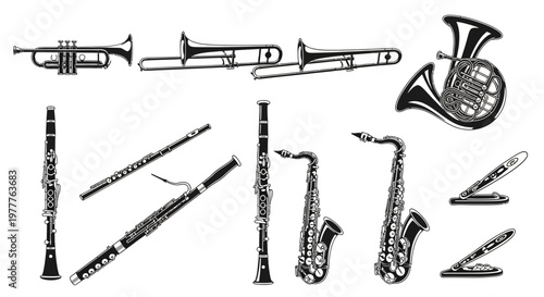 Orchestral Wind and Brass Instruments Collection: Trumpet, Trombone, French Horn, Saxophone, Clarinet, Flute