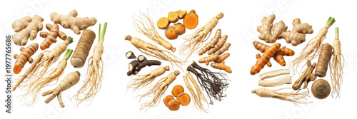 Fresh Mixed Medicinal Roots - Raw Herbal Selection - Raíces Medicinales Frescas - Ashwagandha, Turmeric, Ginger, Ginseng - Holistic Wellness Bundle - Traditional Apothecary Botanical Collection