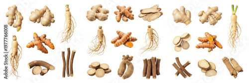 Organic Medicinal Roots Set - Sustainable Botanical Collection - Conjunto de Raíces Medicinales Orgánicas - Eco-Friendly Herbal Sourcing - Natural Pharmacy Ingredients - Wellness Roots Mix