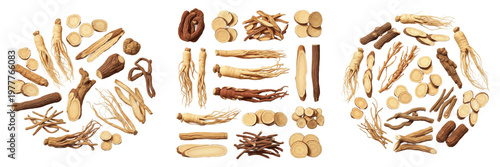 Chinese Herbal Roots Assortment - TCM Botanical Mix - Surtido de Raíces de Hierbas Chinas - Astragalus, Angelica, Peony, Licorice - Traditional Asian Wellness - Holistic Healing Root Set