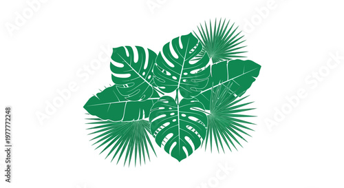 Tropical Green Leaves Composition with Monstera Deliciosa, Fan Palm, and Banana Foliage Isolated on White Background Vector Illustration