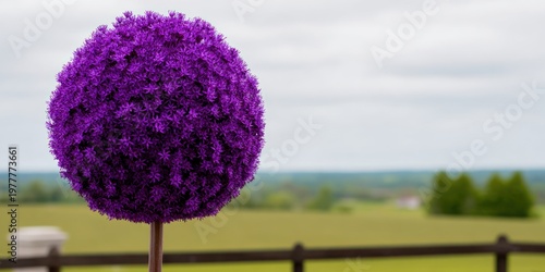 A vibrant, spherical purple allium flower blooms against a blurred background of a green landscape