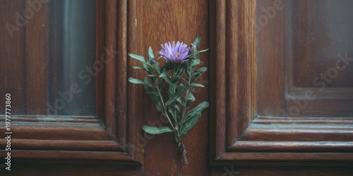 A close-up shot of a purple flower with green leaves, placed on a brown, wooden surface