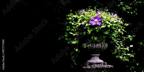 A stone urn overflowing with lush greenery and vibrant purple flowers. Dark, dramatic, and elegant