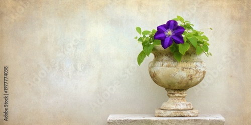 A vibrant purple flower blossoms amidst verdant leaves within an aged, elegant stone urn
