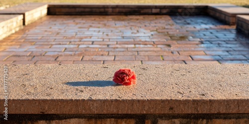 A single red flower rests on a stone ledge with a brick patio and a shallow pool in the background