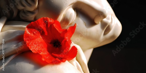 A vibrant red poppy gently rests on the sculpted face of a white marble statue, against a dark backdrop