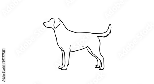 Simple line drawing of a dog standing on its four legs with tail up.