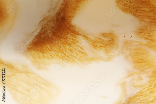 Wallpaper Mural Abstract of coffee and milk mixture as background Torontodigital.ca