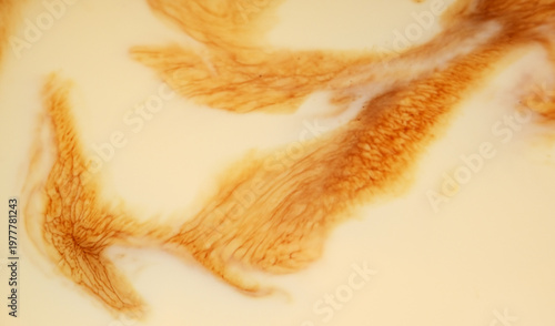 Wallpaper Mural Abstract of coffee and milk mixture as background Torontodigital.ca