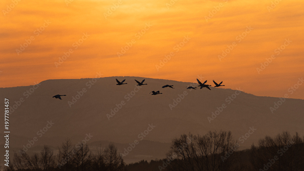 Naklejka premium sunset in the mountains