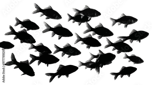 Group of Fish Silhouettes Swimming in Different Directions in Dynamic Aquatic Pattern