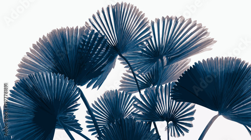 Group of Palm Frond Silhouettes with Detailed Edges in Fan Shape for Tropical Design