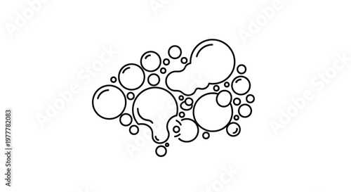 Cluster of diverse bubbles, some round, others irregular, with internal highlights