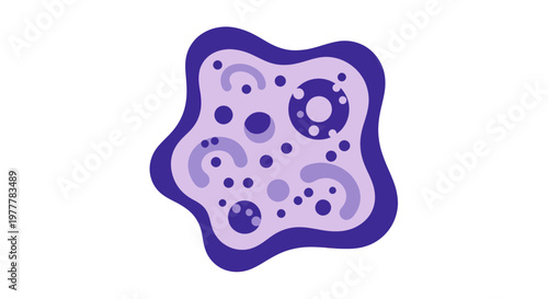 Abstract representation of a single-celled organism with internal structures.