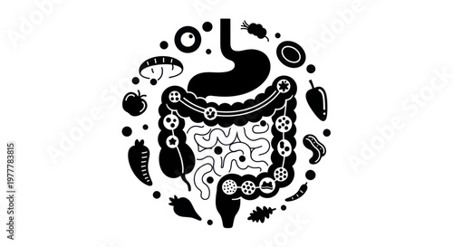 Human Digestive System Anatomy with Healthy Food Elements Illustration.