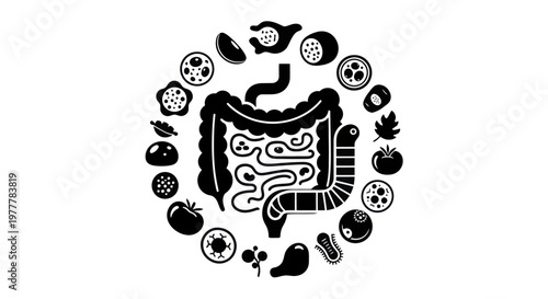 Human Digestive System and Healthy Food Choices Illustration.