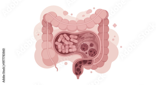 Illustration of Human Intestines with Healthy Gut Bacteria.