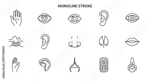 Monoline stroke face and body parts.