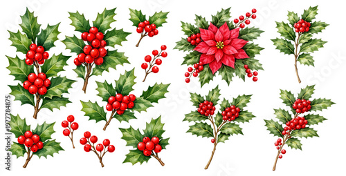 A watercolor set of christmas holly plants featuring festive holly branches, red berries, green spiky leaves, and poinsettia flower isolated on white background.