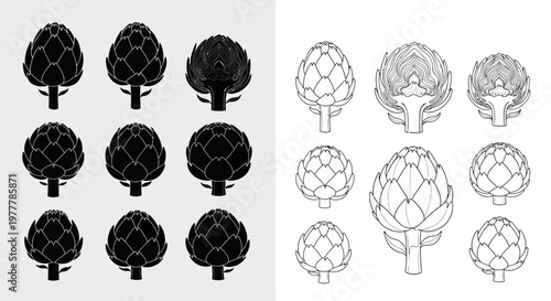 Artichoke Illustrations: Black Silhouettes and Line Drawings of Whole and Halved Vegetables