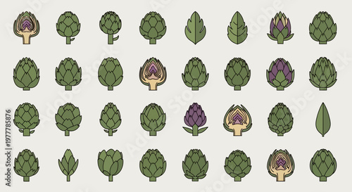 Artichoke Variety Collection: Whole, Halved, and Leafy Illustrations on Beige Background