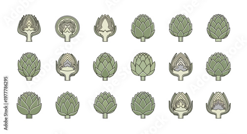Artichoke Variety Collection: Whole and Halved Fresh Green Vegetables