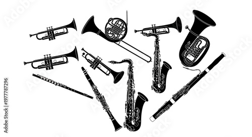 Collection of Brass and Woodwind Musical Instruments Silhouette on White Background