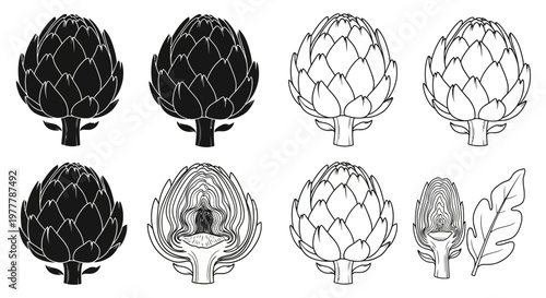 Artichoke Vector Icons: Whole, Halved, and Leafy Illustrations