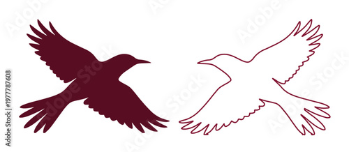 Flying Bird Silhouette and Outline Vector Set